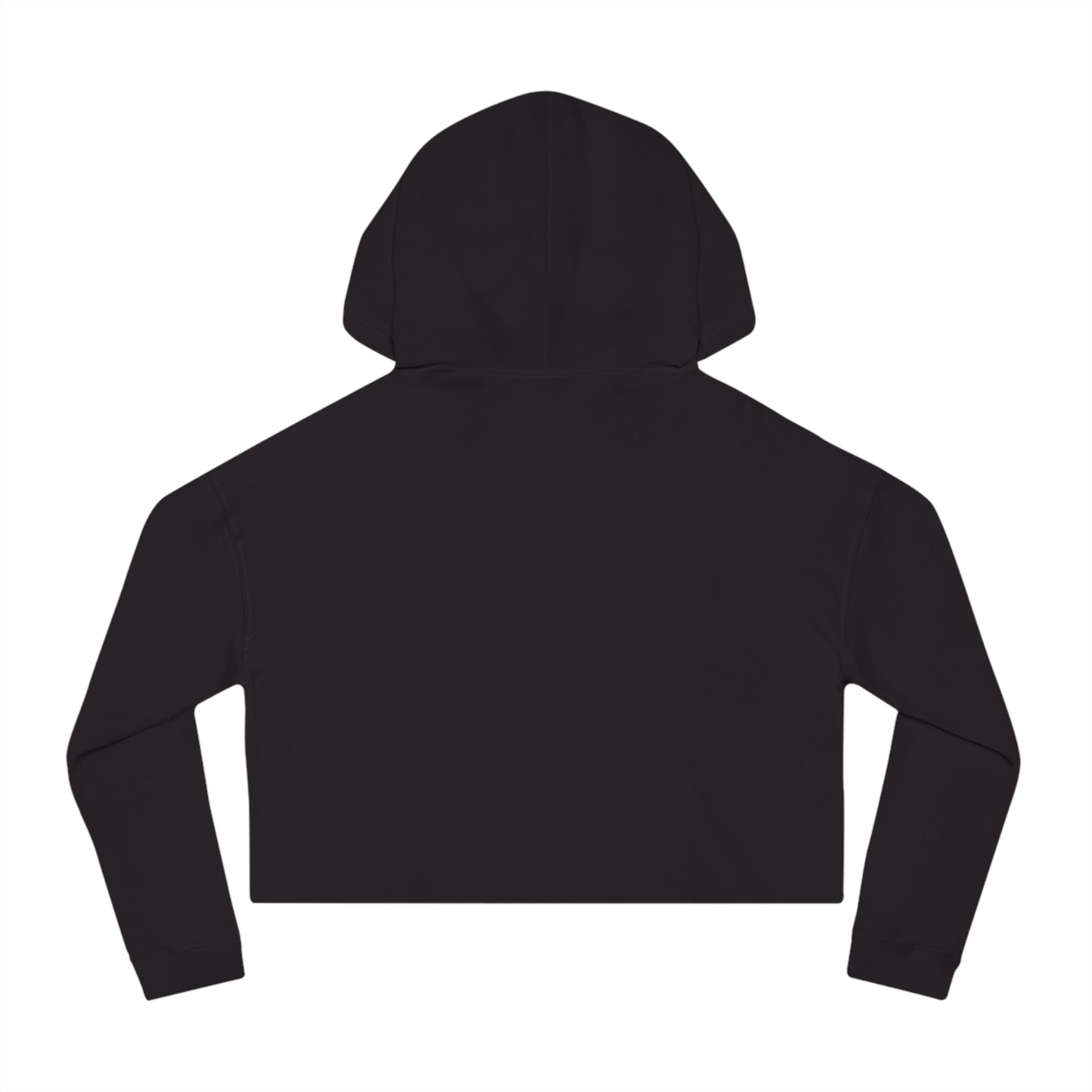 Adler University Cropped Hooded Sweatshirt