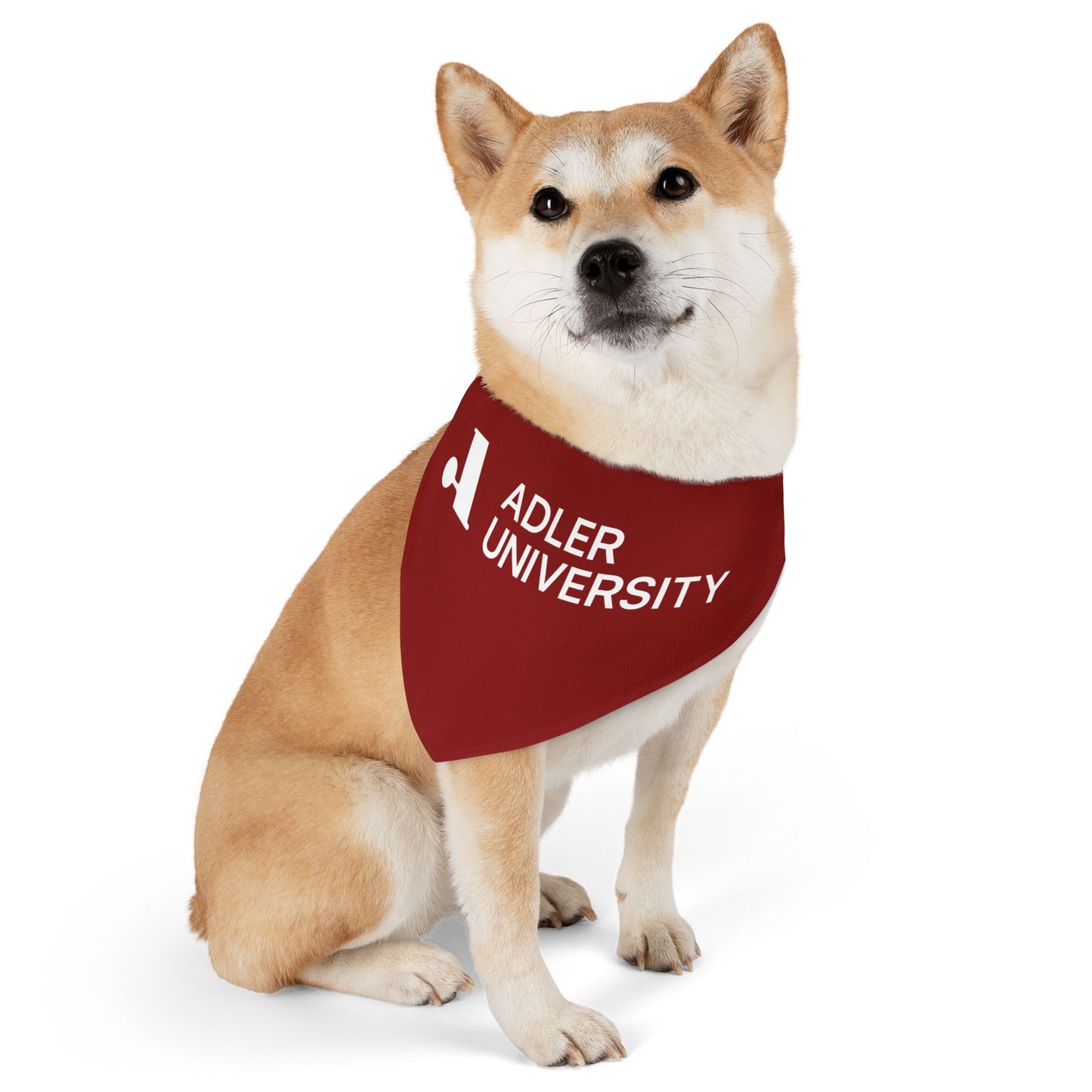 Adler University Pet Bandana Collar