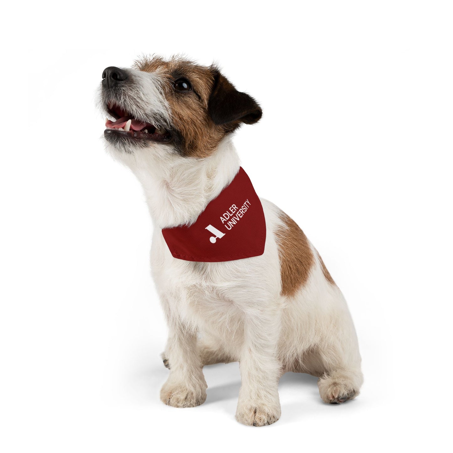 Adler University Pet Bandana Collar