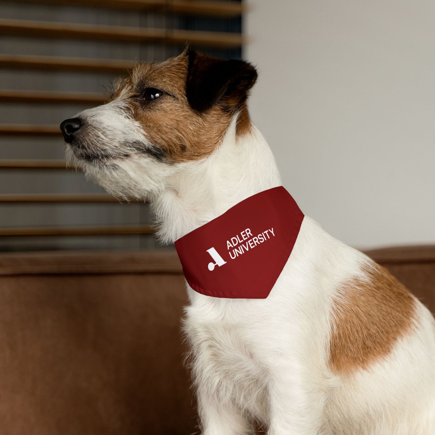 Adler University Pet Bandana Collar
