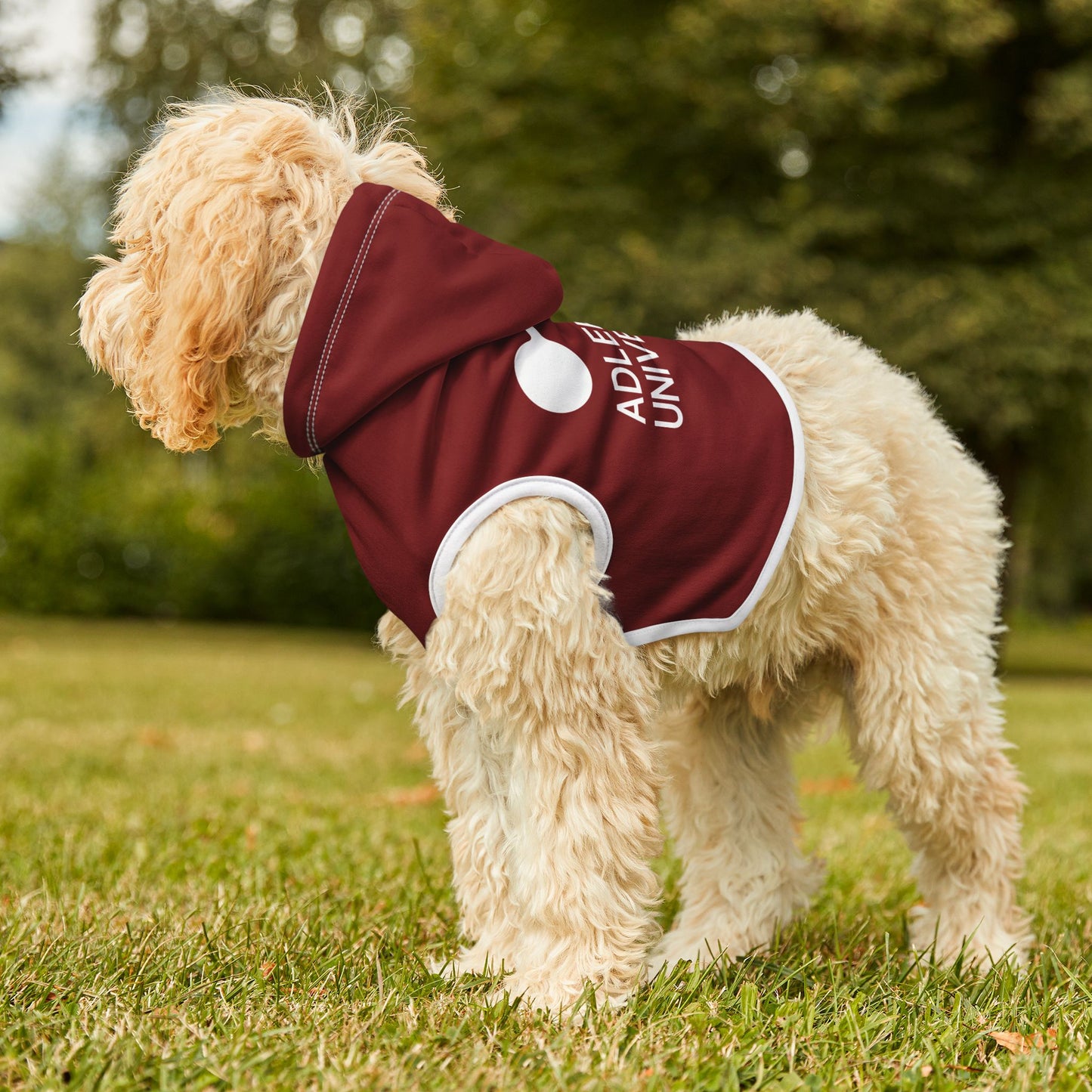 Adler University Pet Hoodie