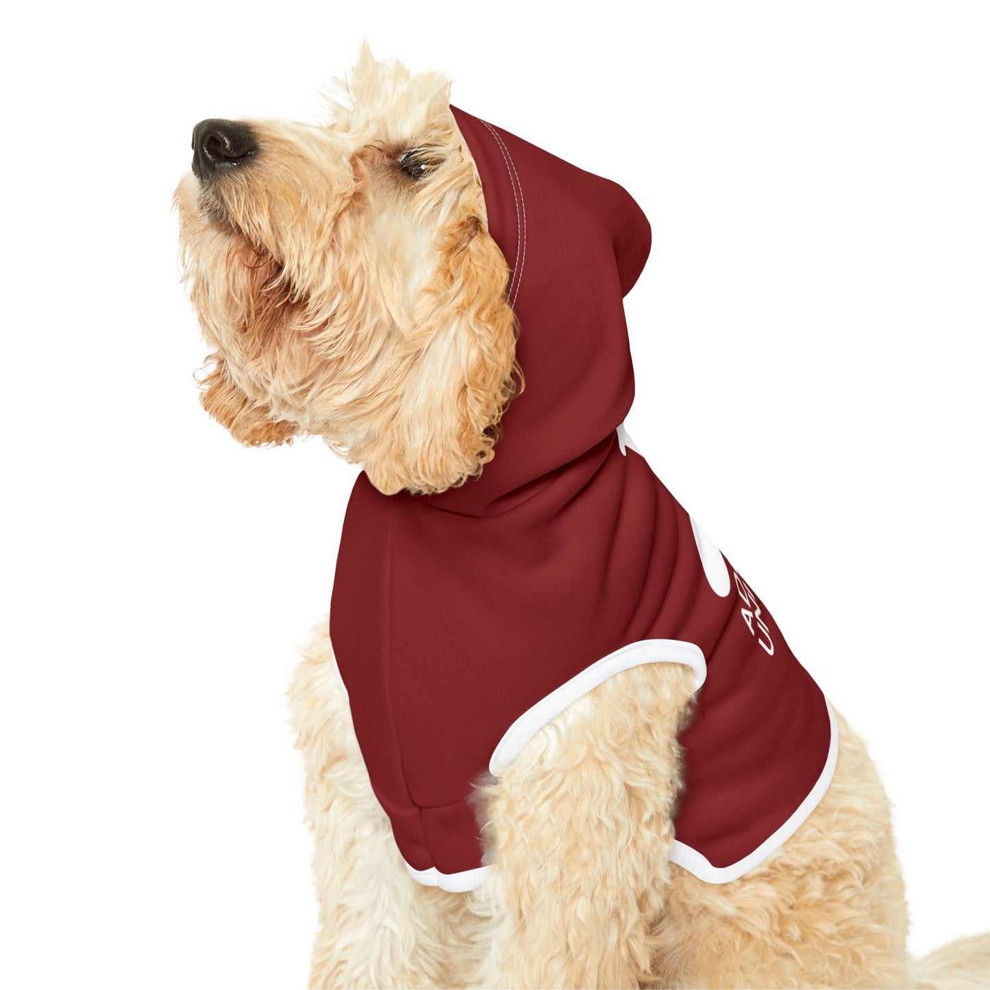 Adler University Pet Hoodie