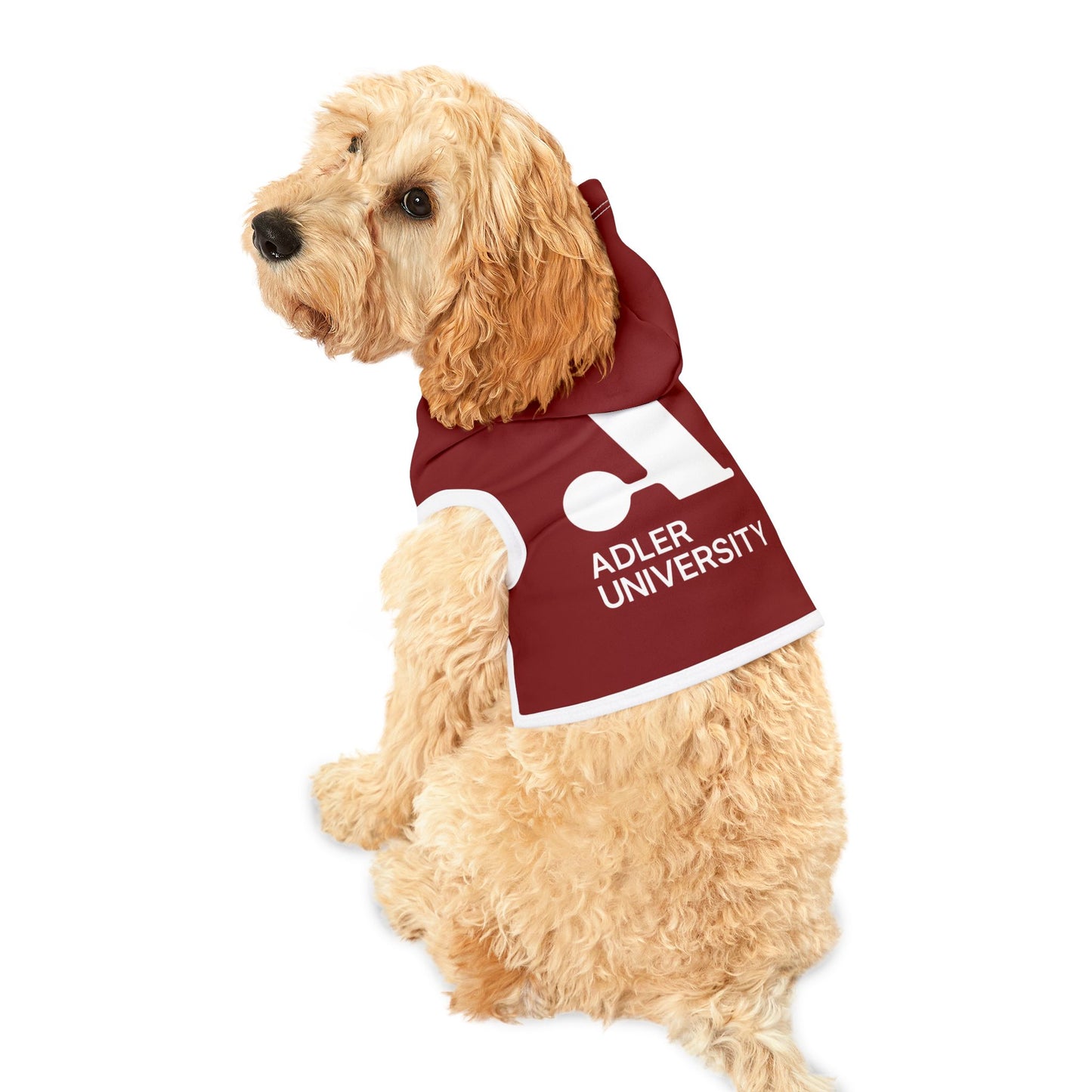 Adler University Pet Hoodie