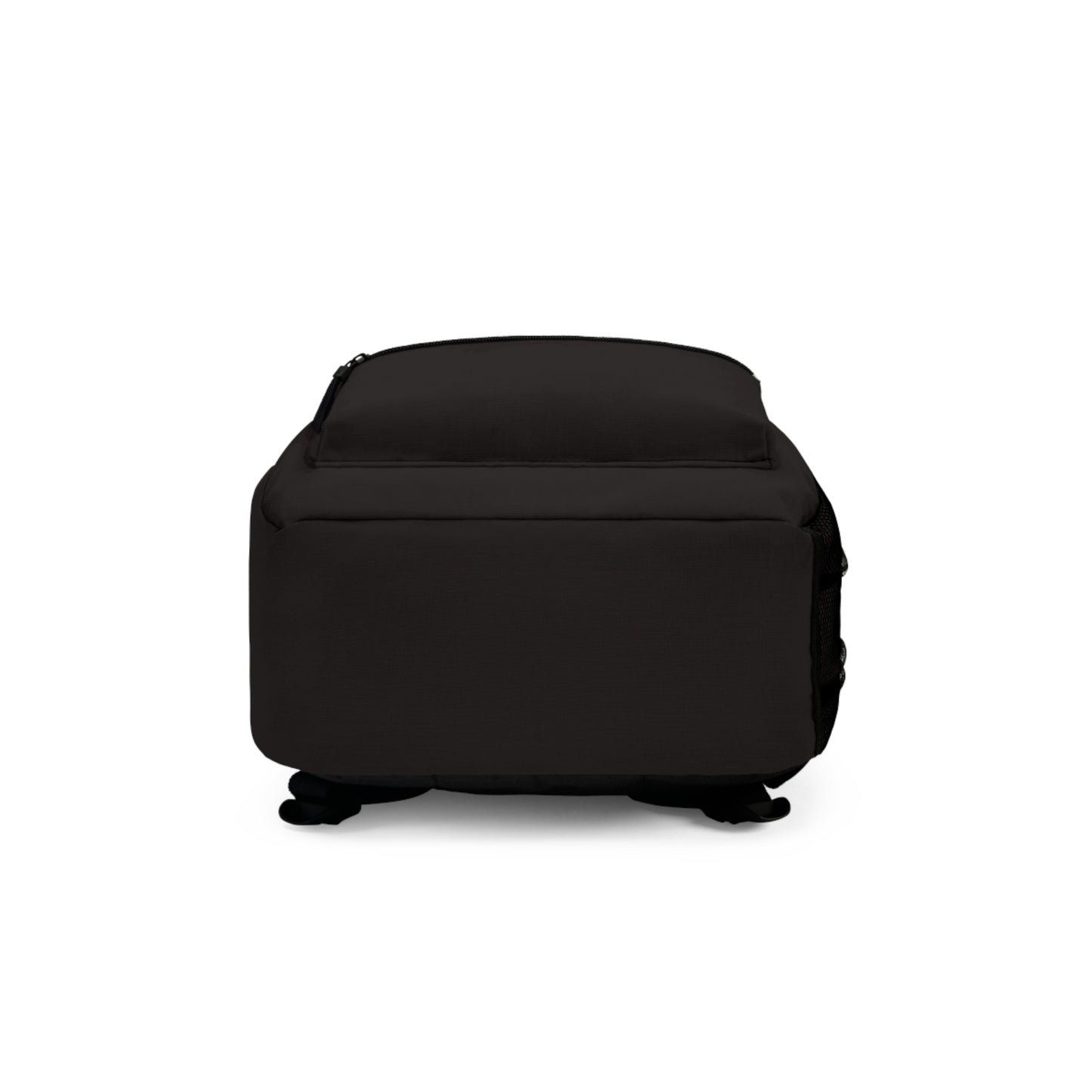 Adler University Backpack