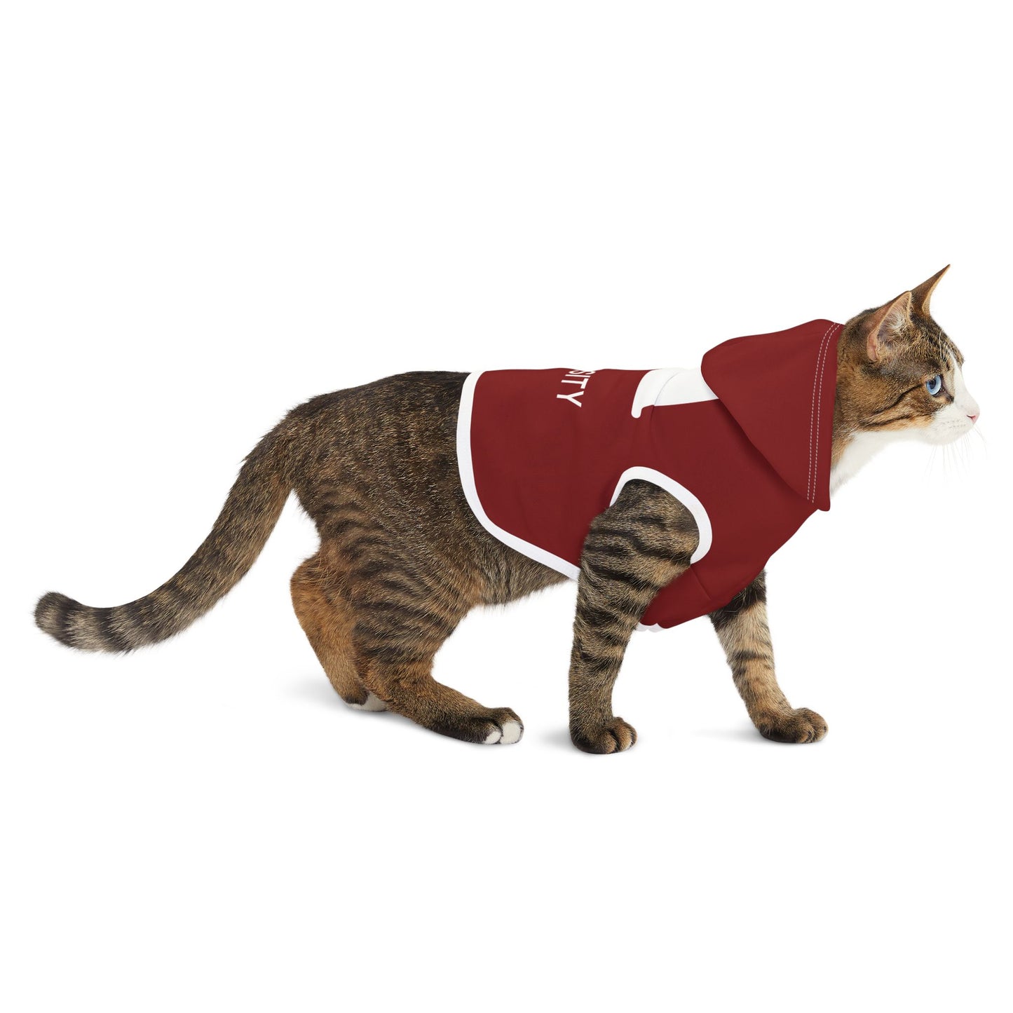 Adler University Pet Hoodie