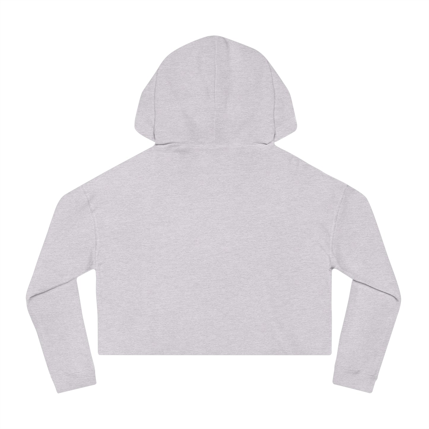 Adler University Cropped Hooded Sweatshirt