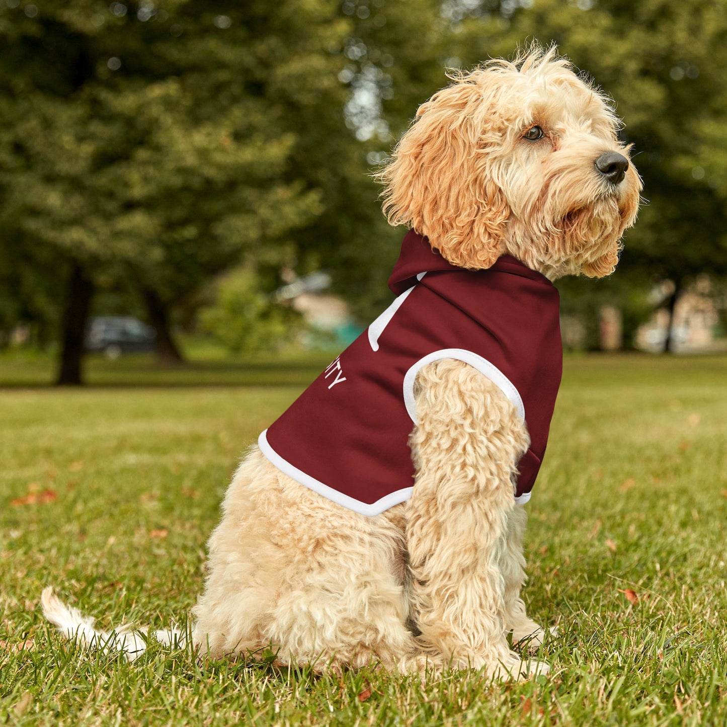 Adler University Pet Hoodie