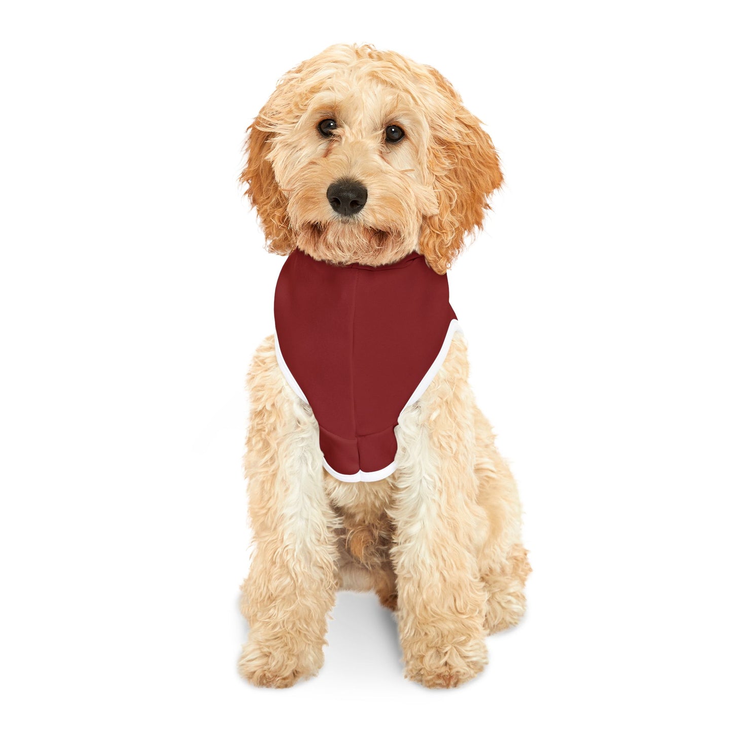 Adler University Pet Hoodie