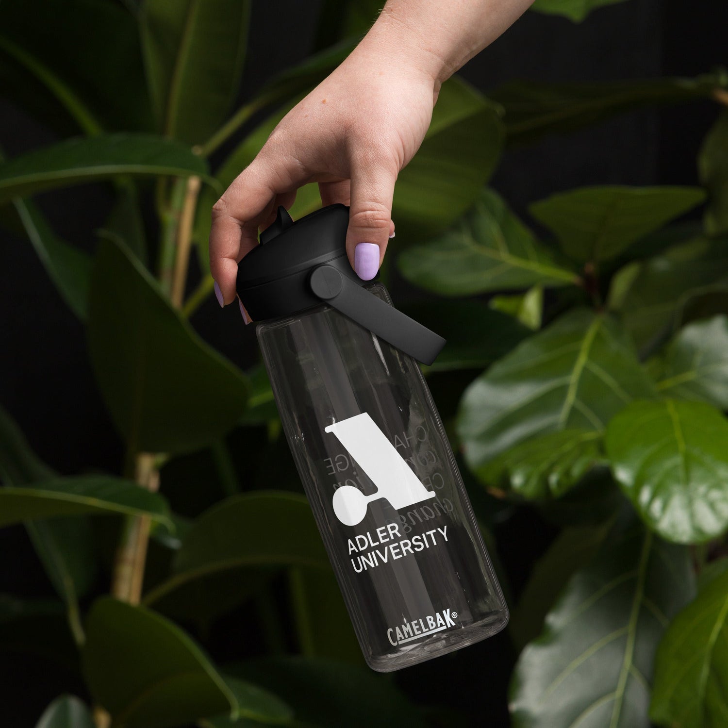 Drinkware
